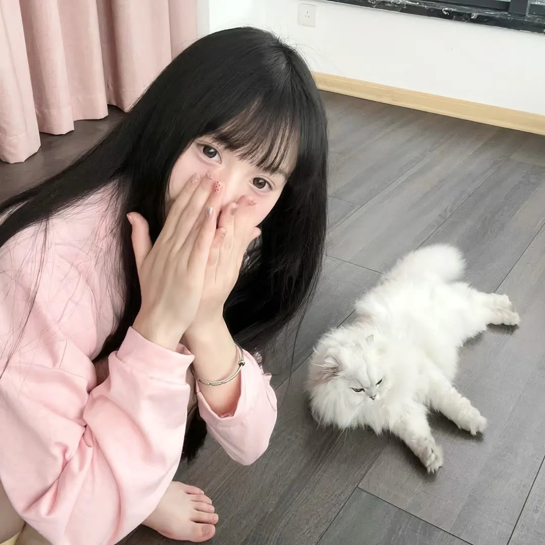 天鸟的喧嚣